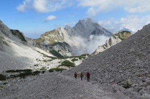 IMG_9509 