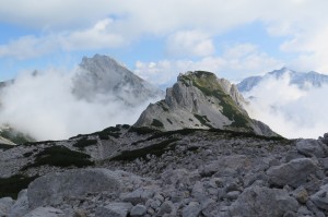 IMG_9512 